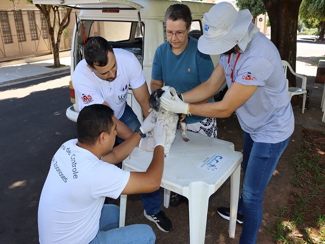 Plantão de Coleta e Microchipagem para Animais em Presidente Prudente