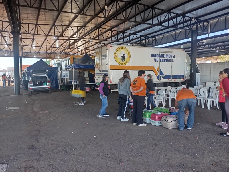 Mutirão de Castração Gratuita em Adamantina: Um Dia de Cuidado Animal