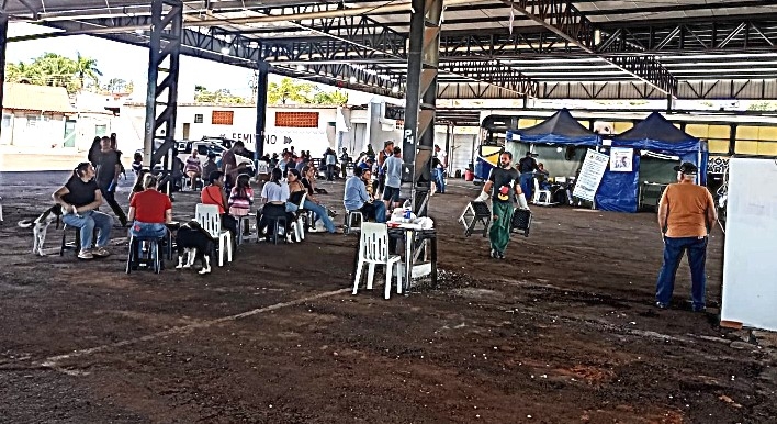 Adamantina realiza mutirão de castração e ajuda 234 animais em um dia