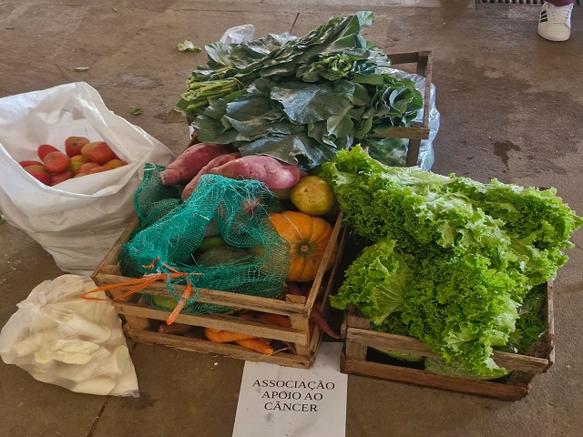 Prefeitura de Presidente Prudente Distribui Alimentos para Entidades Assistenciais