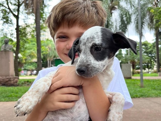 Dia do Vira-lata: Adoção e Bem-Estar Animal em Presidente Prudente