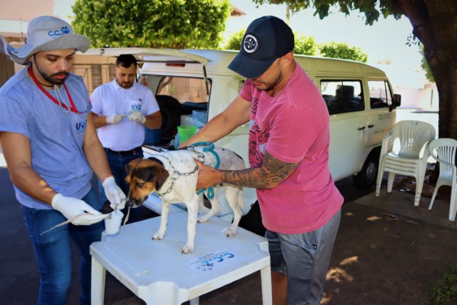 Presidente Prudente Intensifica Coletas de Sangue para Diagnóstico de Leishmaniose Canina