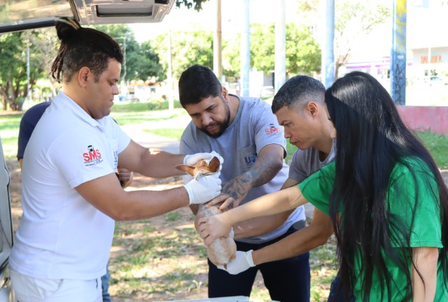 Presidente Prudente intensifica coletas de sangue para Leishmaniose Canina em agosto