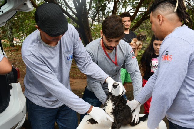 Prefeitura de Presidente Prudente realiza coleta de sangue e microchipagem em cães
