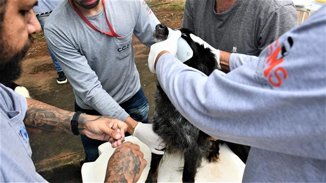 Início do Projeto UVZ Itinerante em Presidente Prudente para Vigilância de Zoonoses