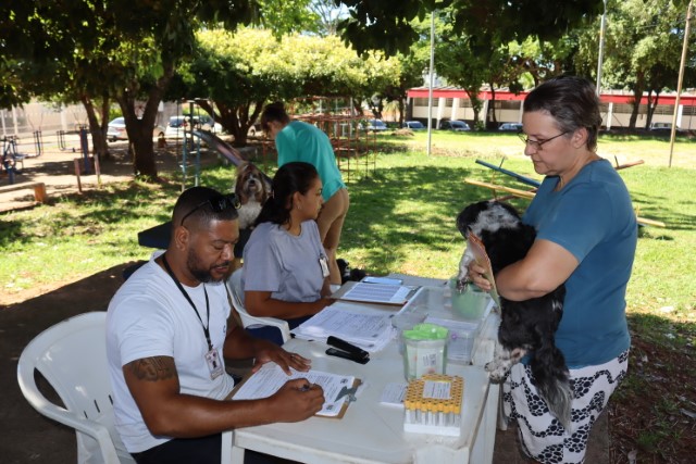 Coleta de Sangue e Microchipagem de Cães em Presidente Prudente