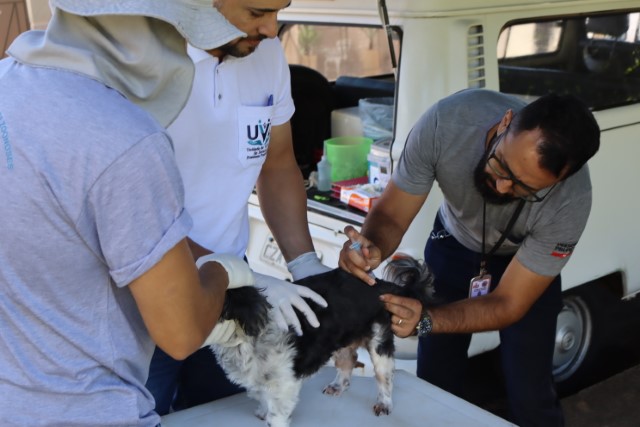 Vacinação Antirrábica e Serviços de Saúde Animal em Presidente Prudente