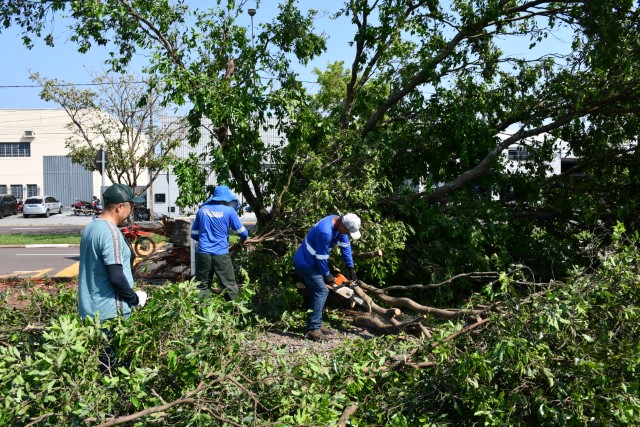 Ações da Defesa Civil em Presidente Prudente após forte temporal