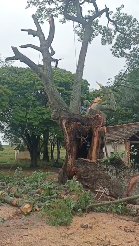 Recuperação em Adamantina Após Temporal com Ventos Fortes e Danos Estruturais