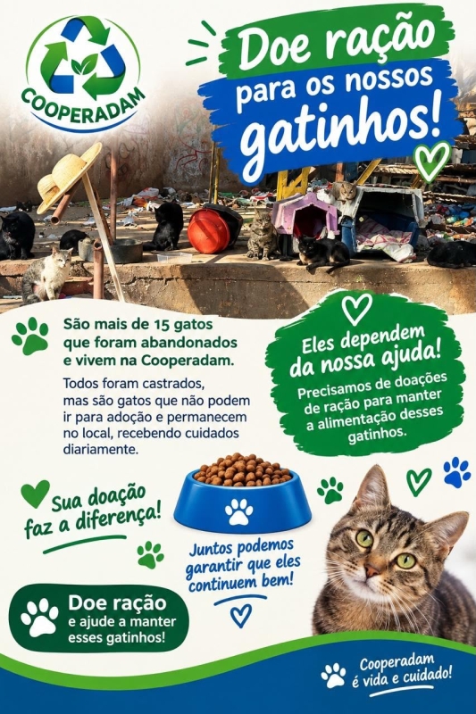 Cooperadam pede ajuda da comunidade para ração de gatos abandonados