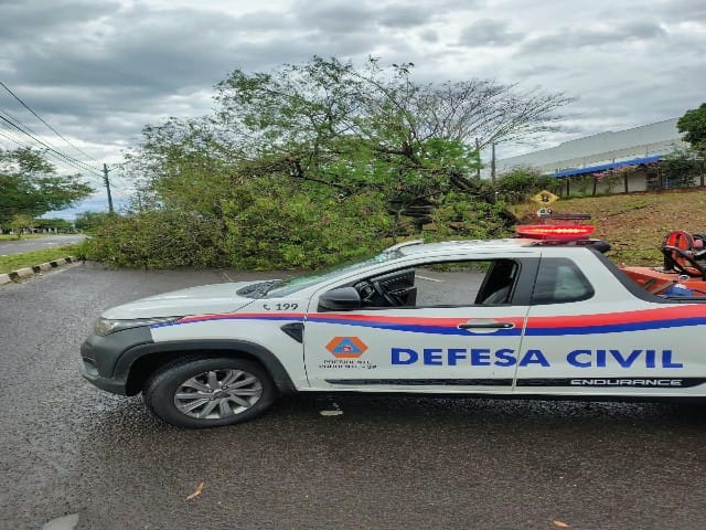 Tempestade em Presidente Prudente afeta eleições e mobiliza equipes de emergência